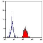 HLA-A2 Antibody in Flow Cytometry (Flow)