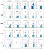 CD8 Antibody in Flow Cytometry (Flow)