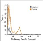 CD8 Antibody in Flow Cytometry (Flow)