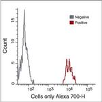 CD14 Antibody in Flow Cytometry (Flow)