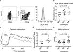 CD38 Antibody in Flow Cytometry (Flow)