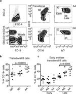 CD38 Antibody in Flow Cytometry (Flow)