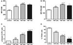 ICAM-1 Antibody in Flow Cytometry (Flow)