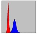 MMP9 Antibody in Flow Cytometry (Flow)