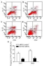 IL-17A Antibody in Flow Cytometry (Flow)