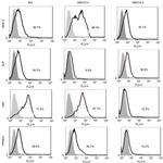 VWF Antibody in Flow Cytometry (Flow)