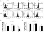 IL-17A Antibody in Flow Cytometry (Flow)