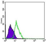 MSI1 Antibody in Flow Cytometry (Flow)