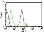 Cytokeratin, pan (Epithelial Marker) Antibody in Flow Cytometry (Flow)