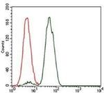 NCK1 Antibody in Flow Cytometry (Flow)