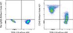 CD45 Antibody in Flow Cytometry (Flow)