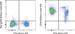 CD44 Antibody in Flow Cytometry (Flow)