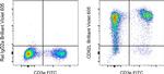 CD62L (L-Selectin) Antibody in Flow Cytometry (Flow)