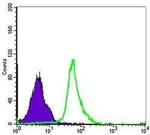 NFkB p50 Antibody in Flow Cytometry (Flow)