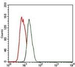 Nkx2.2 Antibody in Flow Cytometry (Flow)