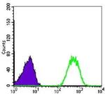 NME1 Antibody in Flow Cytometry (Flow)