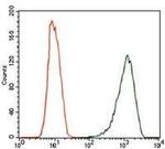 iNOS Antibody in Flow Cytometry (Flow)