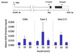 Nanog Antibody in ChIP Assay (ChIP)