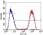 OCT4 Antibody in Flow Cytometry (Flow)