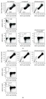 CD243 (ABCB1) Antibody in Flow Cytometry (Flow)