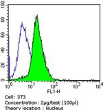 GATA4 Antibody in Flow Cytometry (Flow)