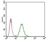 LYVE1 Antibody in Flow Cytometry (Flow)