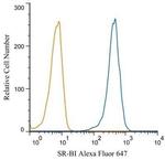 SR-BI Antibody in Flow Cytometry (Flow)