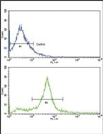 ErbB3 Antibody in Flow Cytometry (Flow)