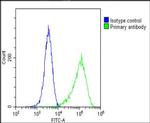 FGFR2 Antibody in Flow Cytometry (Flow)