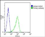 FGFR2 Antibody in Flow Cytometry (Flow)