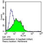 PMP70 Antibody in Flow Cytometry (Flow)