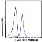 Bif1 Antibody in Flow Cytometry (Flow)