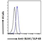 BLNK Antibody in Flow Cytometry (Flow)