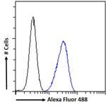 CrkL Antibody in Flow Cytometry (Flow)