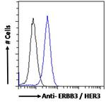 ErbB3 Antibody in Flow Cytometry (Flow)