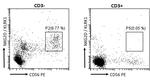 NKG2D Antibody in Flow Cytometry (Flow)