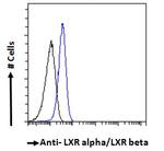 LXR alpha/beta Antibody in Flow Cytometry (Flow)