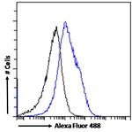 MyD88 Antibody in Flow Cytometry (Flow)