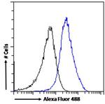 RANBP1 Antibody in Flow Cytometry (Flow)