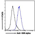 RXRA Antibody in Flow Cytometry (Flow)