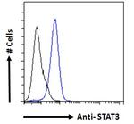 STAT3 Antibody in Flow Cytometry (Flow)