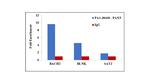 PAX5 Antibody in ChIP Assay (ChIP)