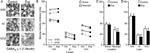 GABRA1 Antibody in Immunohistochemistry (IHC)