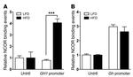 NCoR1 Antibody in ChIP Assay (ChIP)