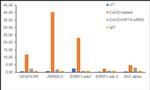 HIF1A Antibody in ChIP Assay (ChIP)