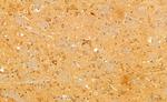 Phospho-SREBP1 (Ser338) Antibody in Immunohistochemistry (Paraffin) (IHC (P))