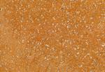 DHRS3 Antibody in Immunohistochemistry (Paraffin) (IHC (P))