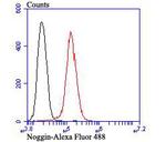 Noggin Antibody in Flow Cytometry (Flow)