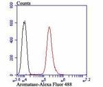 Aromatase Antibody in Flow Cytometry (Flow)