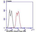 DIAPH3 Antibody in Flow Cytometry (Flow)